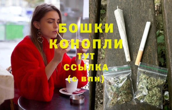 дурь Бородино