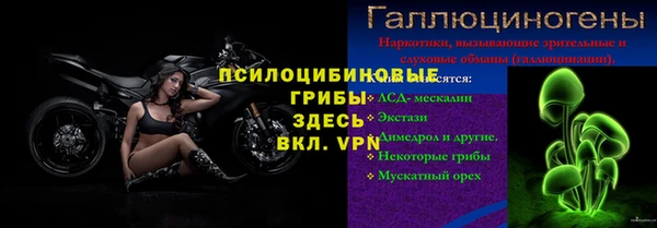 дурь Бородино