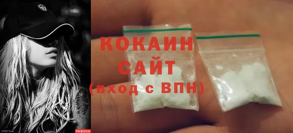 дурь Бородино