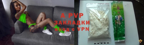 дурь Бородино