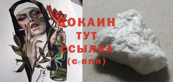 дурь Бородино