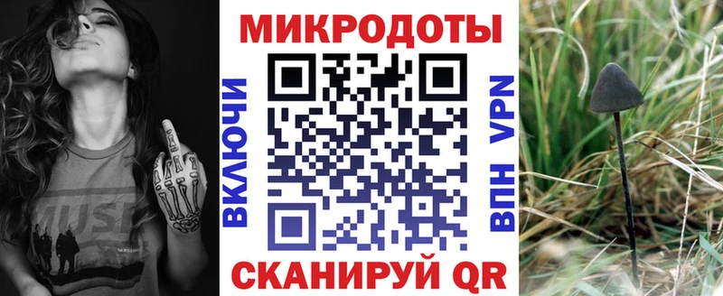 МЕГА вход  даркнет сайт  Выборг  Галлюциногенные грибы мицелий 