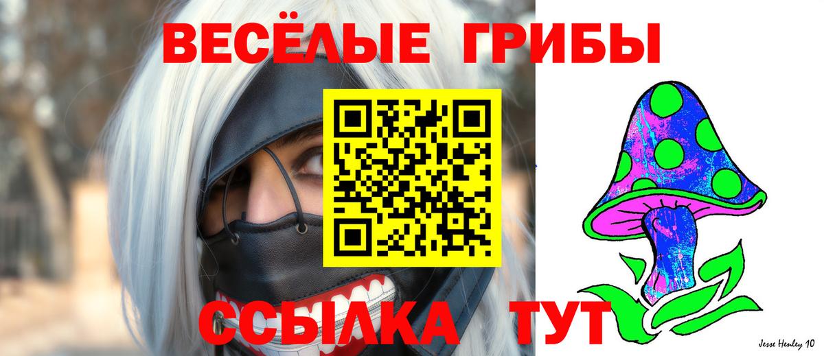 Псилоцибиновые грибы мухоморы Выборг