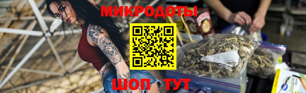 Галлюциногенные грибы Psilocybine cubensis  Вход с VPN  Выборг 